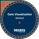 Data visualization badge