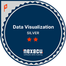 Silver Data Visualization Badge