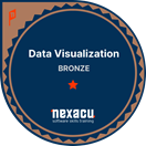 Bronze Data Visualization Badge
