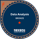 Bronze Data Analysis Badge